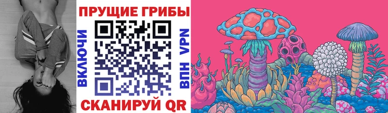 Галлюциногенные грибы Cubensis  Купить  Беломорск 