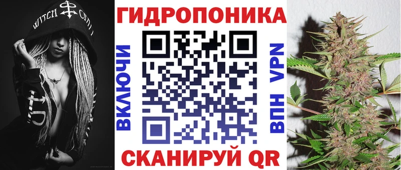 Купить где  Беломорск  Бошки Шишки SATIVA & INDICA 